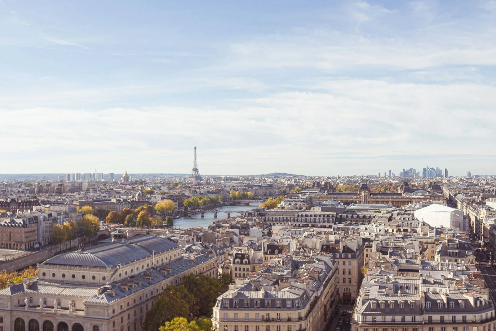 Vue aérienne de Paris avec la Tour Eiffel et La Défense